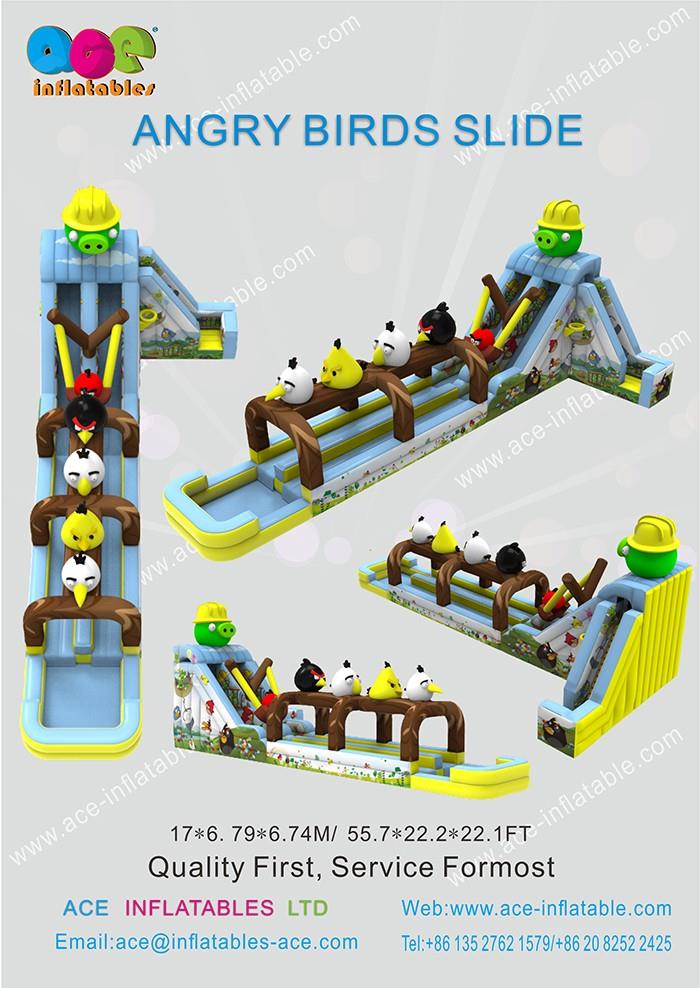 ANGRY BIRDS SLIDE-1.jpg